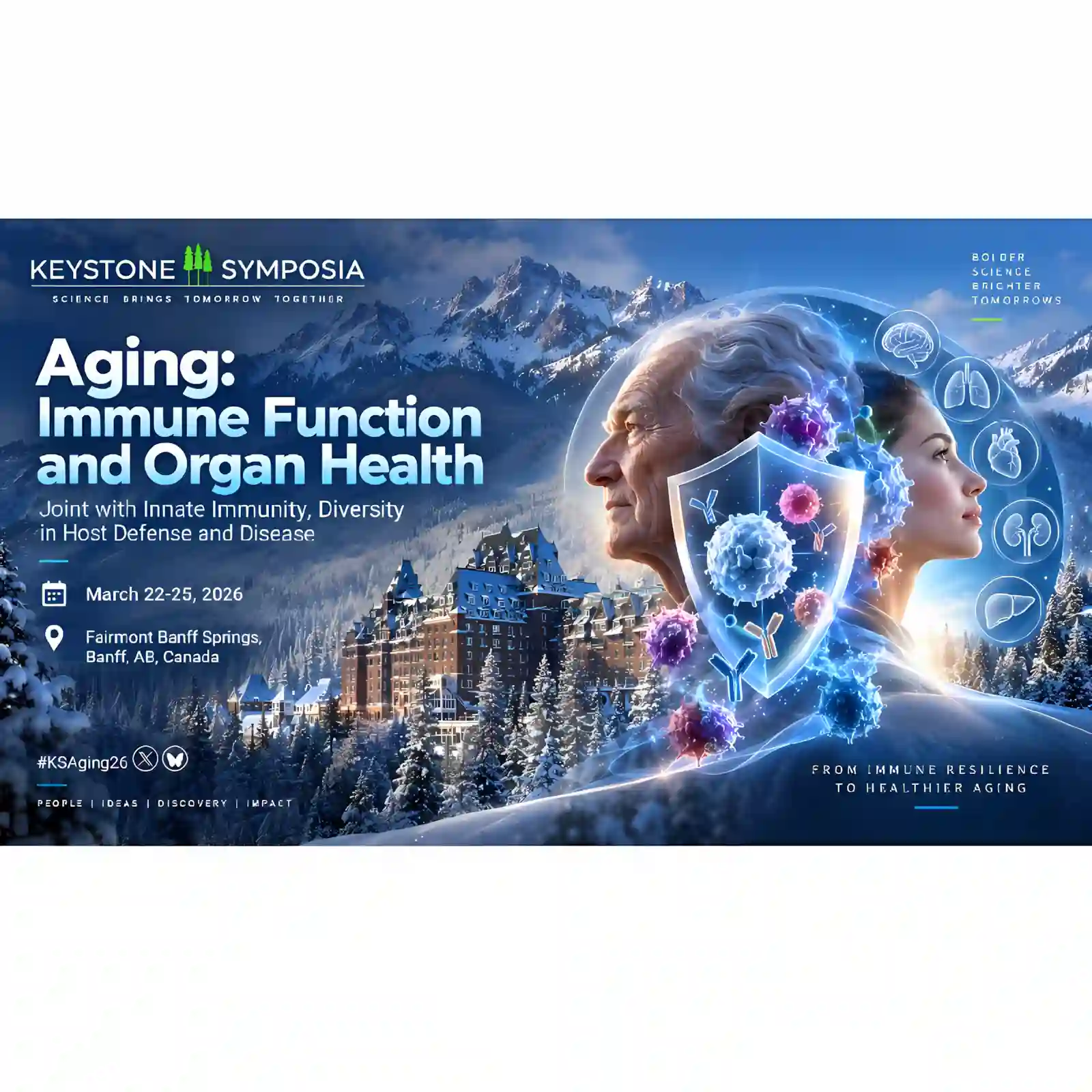 Aging Immune Function and Organ Health